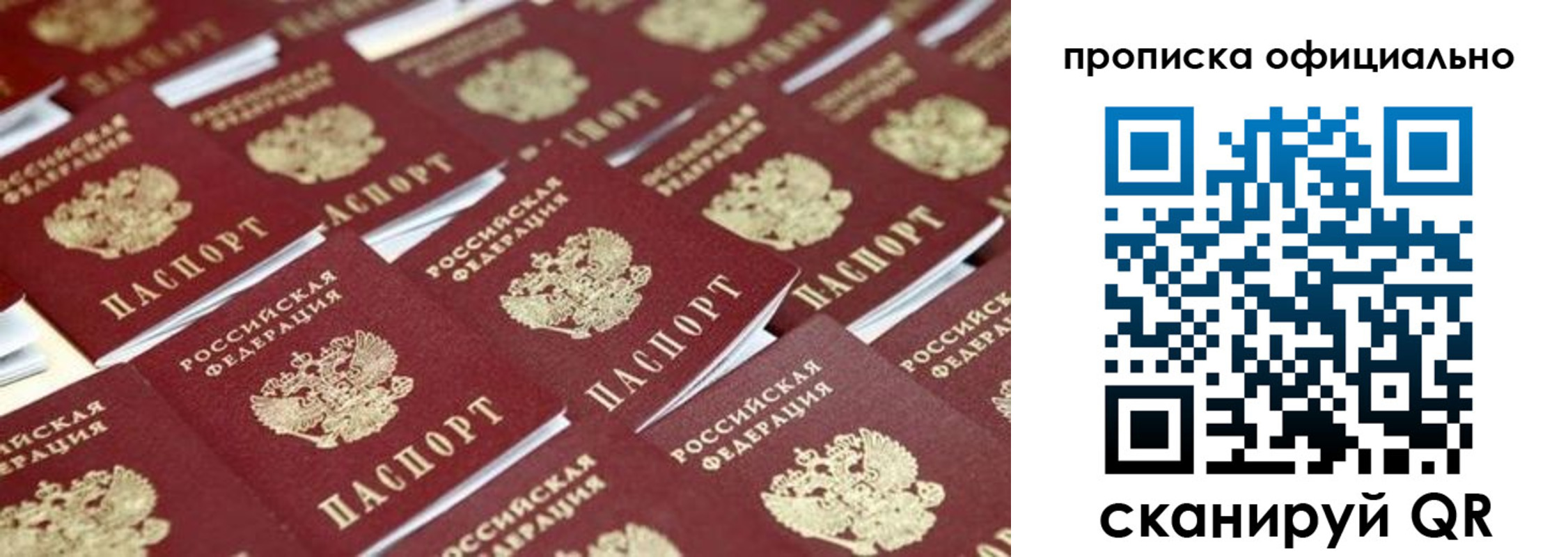 прописка гарантия в Тосно